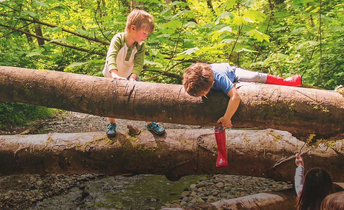 Mikey Goes To Camp Banner